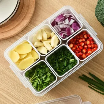 6 Grid Fresh Food Storage Box | ৬ ভাগের মাল্টি-কম্পার্টমেন্ট ফ্রিজ স্টোরেজ কন্টেইনার